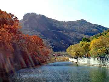 澳门天天免费精准大全，微山seo论坛